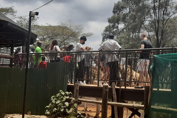 Day Tour to Nairobi national park, Elephants, and Giraffe Center - Lunch and the pace of the day