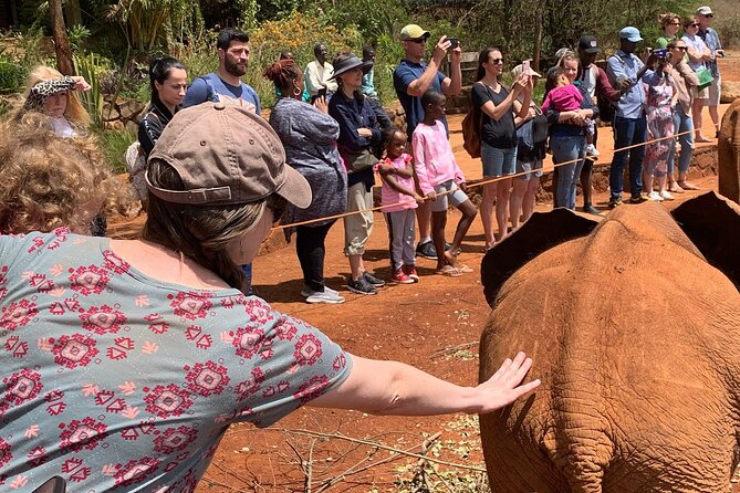 Day Tour to Nairobi national park, Elephants, and Giraffe Center - Who will enjoy this outing most