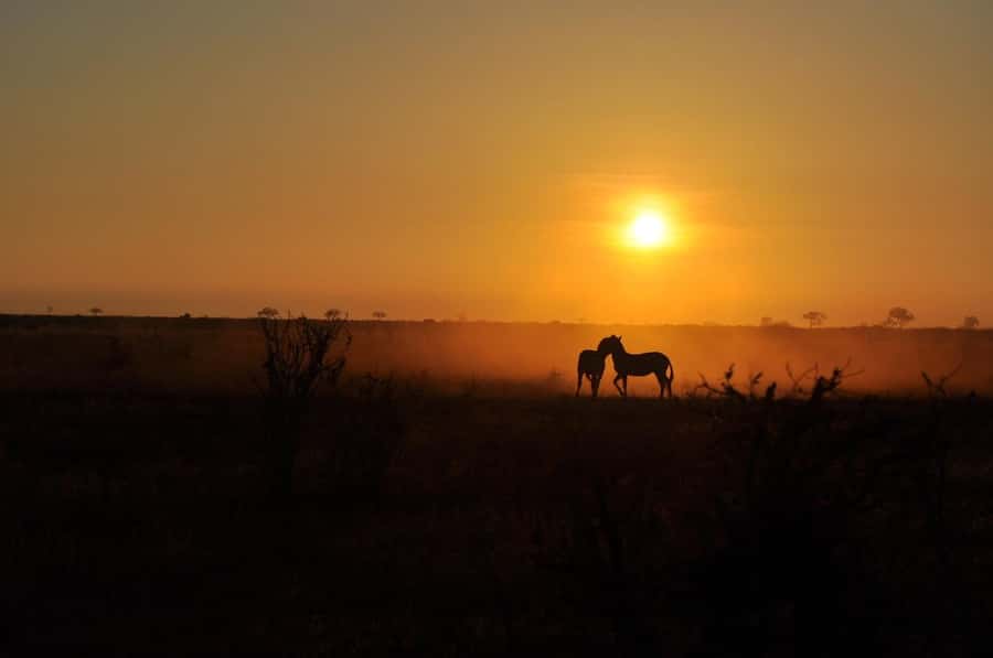 DAY TOUR TO TSAVO EAST NATIONAL PARK FROM MOMBASA/DIANI - The second game drive and the long return