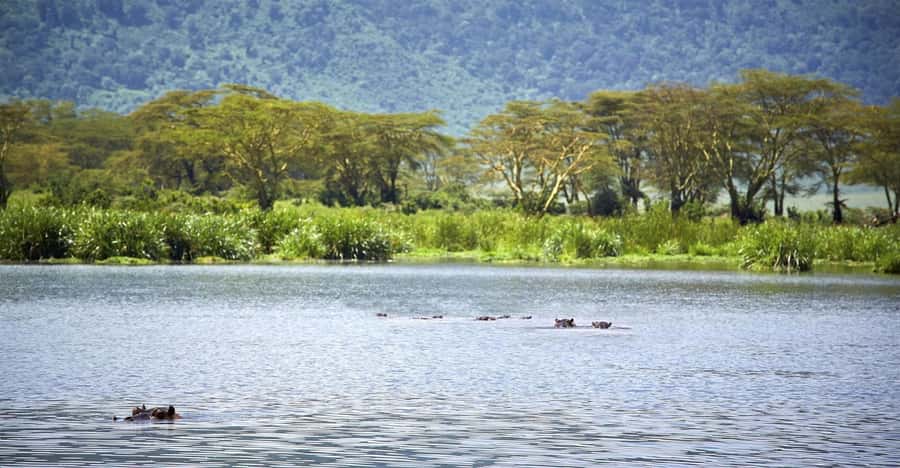 Day Trip: Hell's Gate Bike Ride & Lake Naivasha Boat Ride - Lunch Near the Park