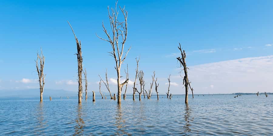 Day Trip: Hell's Gate Bike Ride & Lake Naivasha Boat Ride - Cruising Lake Naivasha by Boat