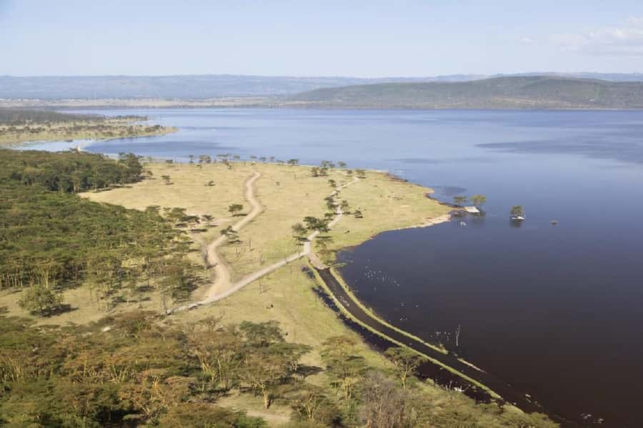 Day trip lake Naivasha and Hells gate - Who should book this experience?