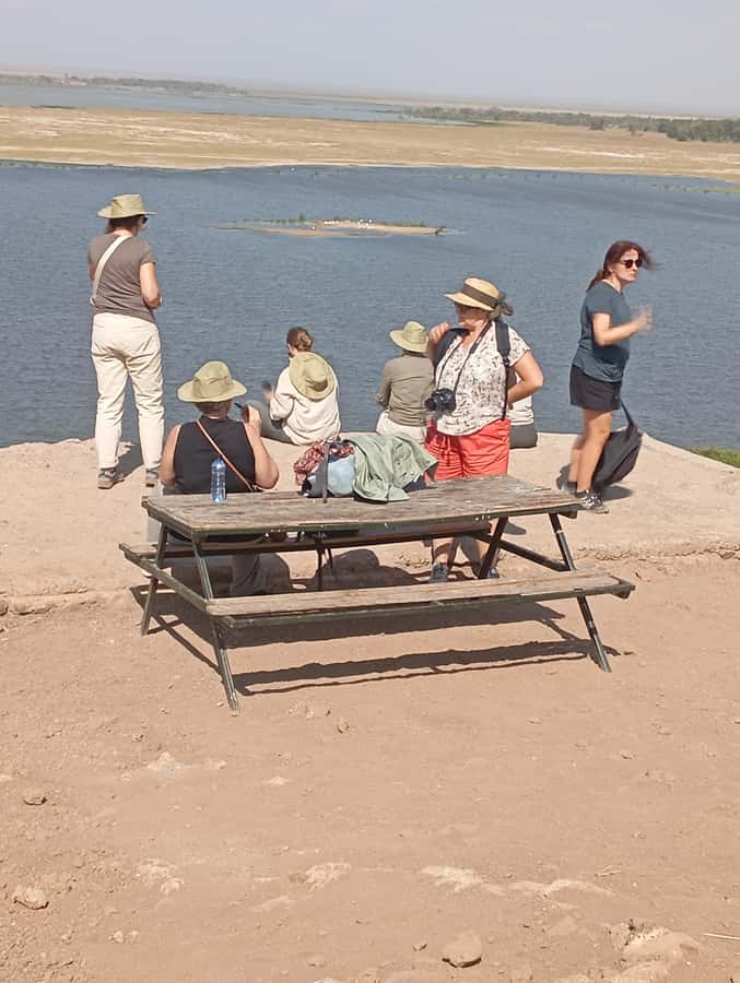Day Trip to Lake Nakuru National Park from Nairobi - Flamingos, rhinos, and the best wildlife chances