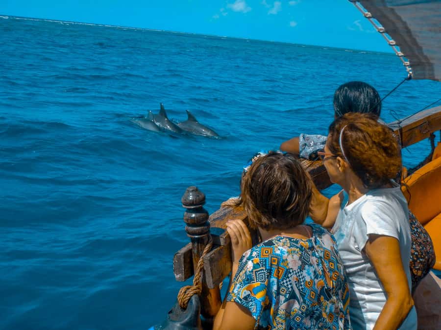 Dhow Adventure to Wasini Island & Kisite Marine Park - Should You Book the Wasini Island Dhow Trip?