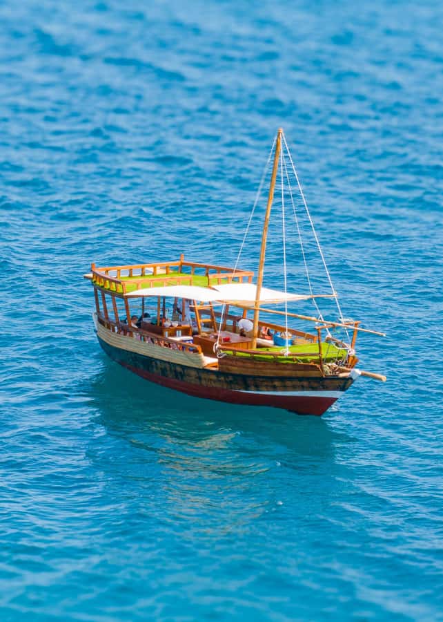 Dhow Adventure to Wasini Island & Kisite Marine Park - Lunch and Island Life on Wasini