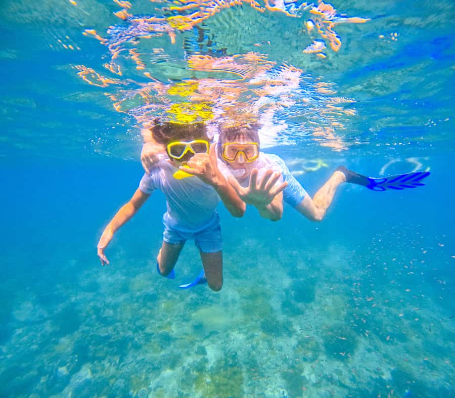 Dhow Adventure to Wasini Island & Kisite Marine Park - Is the $128 Price Good Value?