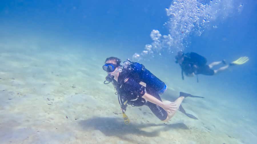 Dhow Adventure to Wasini Island & Kisite Marine Park - Who Will Enjoy This Day Most
