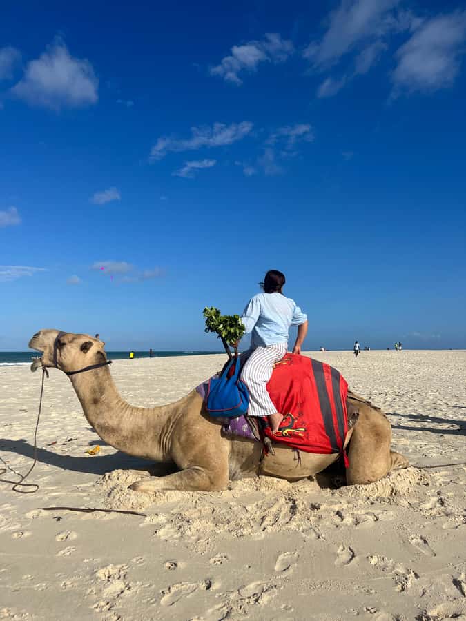 DIANI: BEACH CAMEL RIDE - Mounting a camel and settling into the rhythm