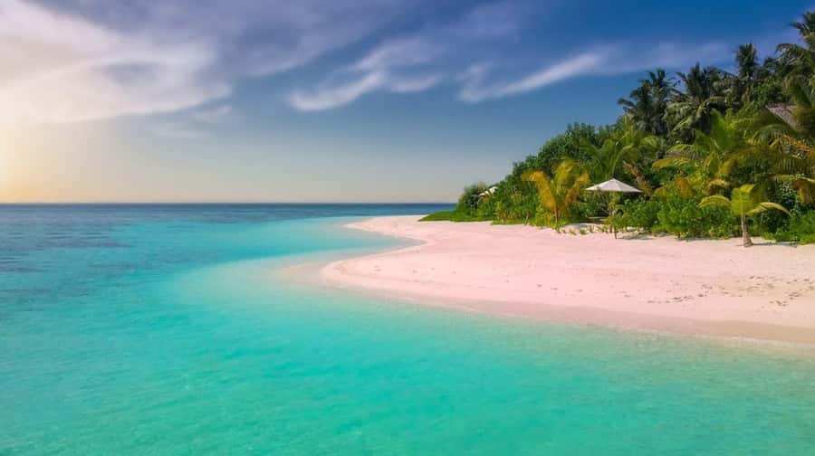 Diani Beach: Funzi Island Day Trip with Lunch - Key points to know before booking