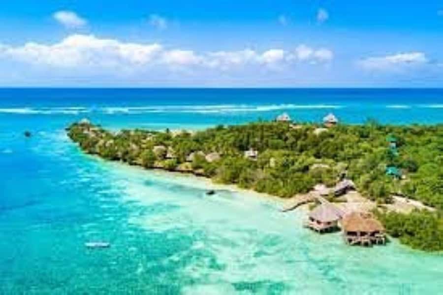 Diani Beach: Funzi Island Day Trip with Lunch - Leaving Diani Beach at 7:30 AM