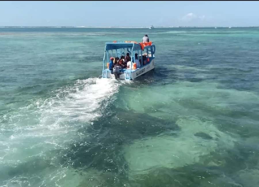 Diani Beach: Glass Boat Cruise to Robinson Island - A glass-bottom view of Diani’s reef