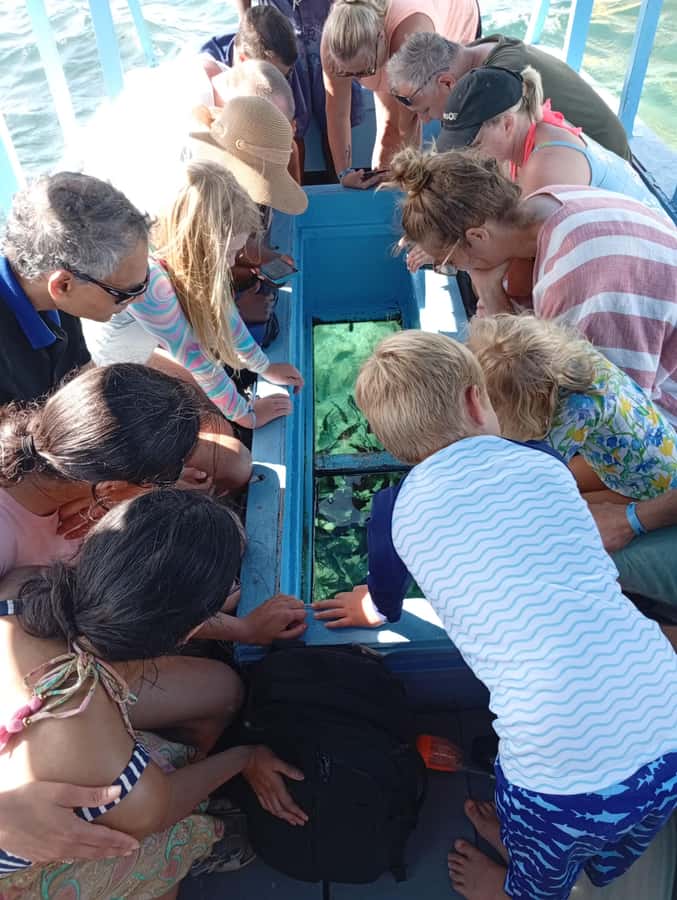 Diani Beach: Glass-Bottom Boat Cruise to Robinson Island - The five-minute briefing and first boat ride
