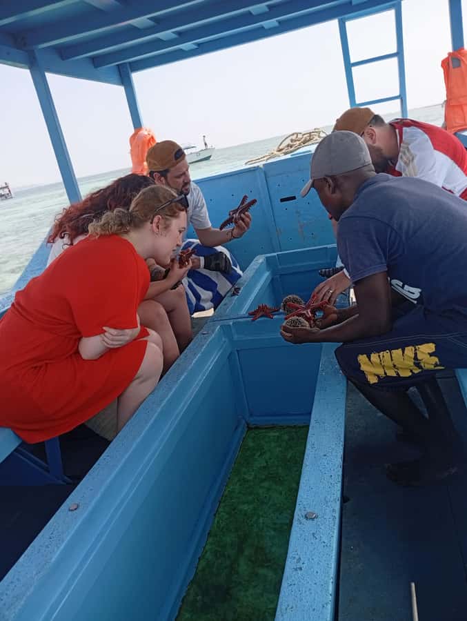 Diani Beach: Glass-Bottom Boat Cruise to Robinson Island - From your hotel to the water by tuk-tuk