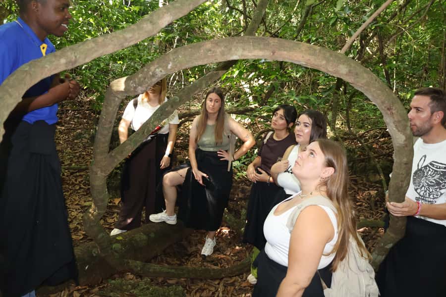 Diani Beach: Kaya Kinondo cultural and nature experience - Practical advice for a respectful visit