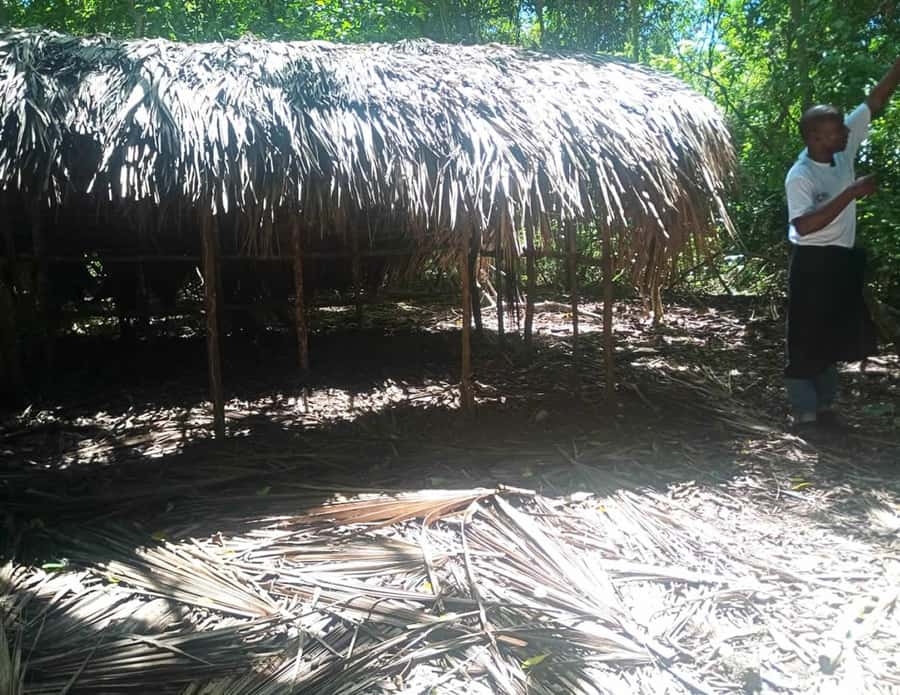 Diani Beach: Kaya Kinondo cultural and nature experience - The Digo dance and lemongrass tea