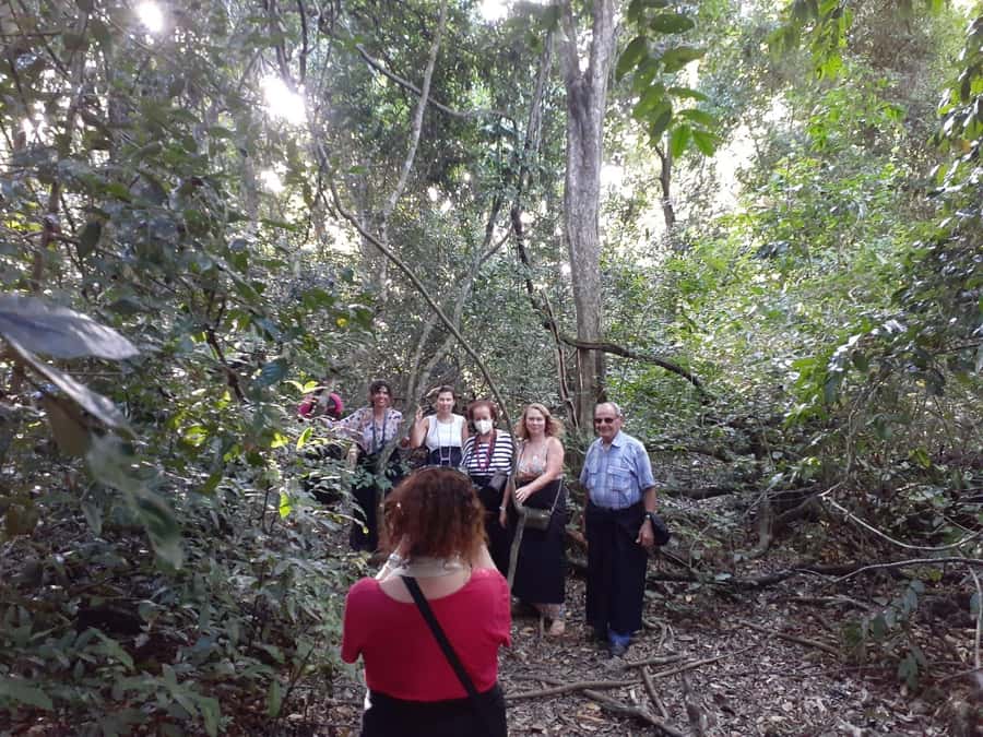 Diani Beach: Kaya Kinondo cultural and nature experience - Who will enjoy this four-hour outing