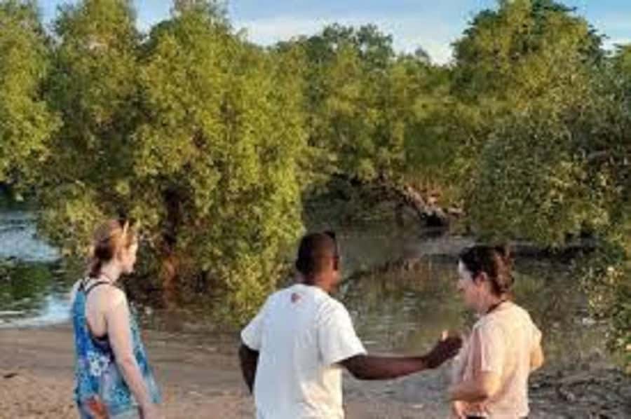Diani Beach: Kongo River Estuary Sundowner Boat Tour - Key points to know before you go