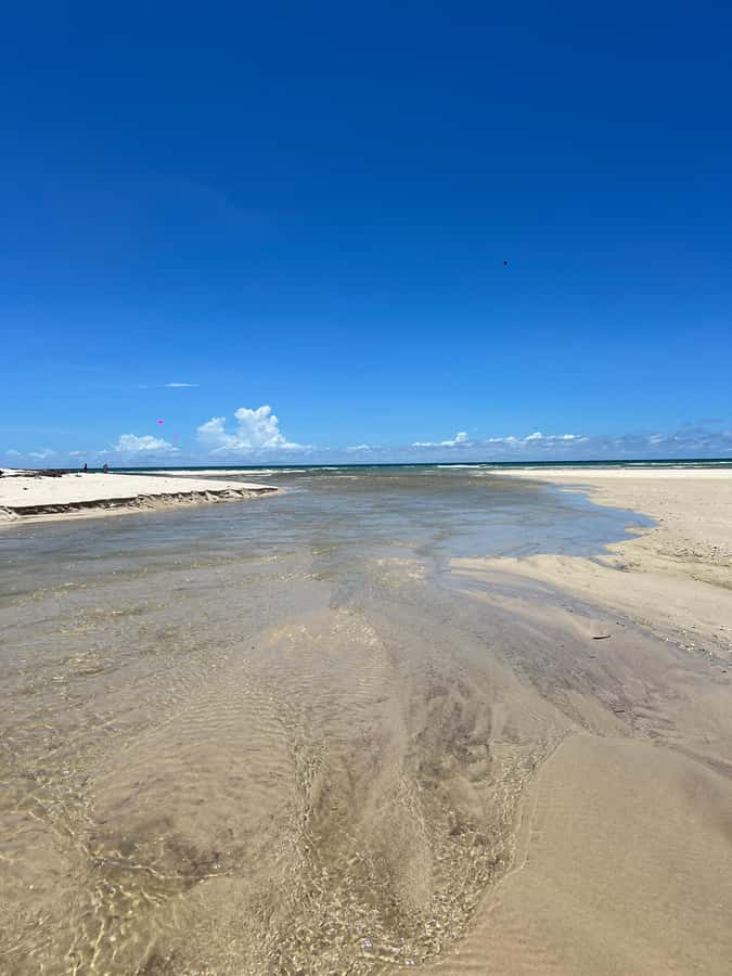 Diani Beach: Private African Pool Map Guided Tour - A ten-minute walk along Tiwi’s wave-cut shore