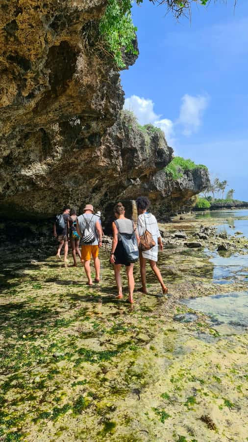 Diani Beach: Private African Pool Map Guided Tour - Is $35 a fair price?