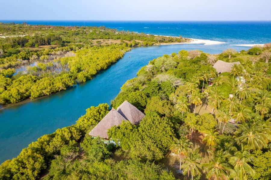 Diani Beach: Sunset Dhow Cruise with Dinner - Why this cruise feels different from a standard sunset outing