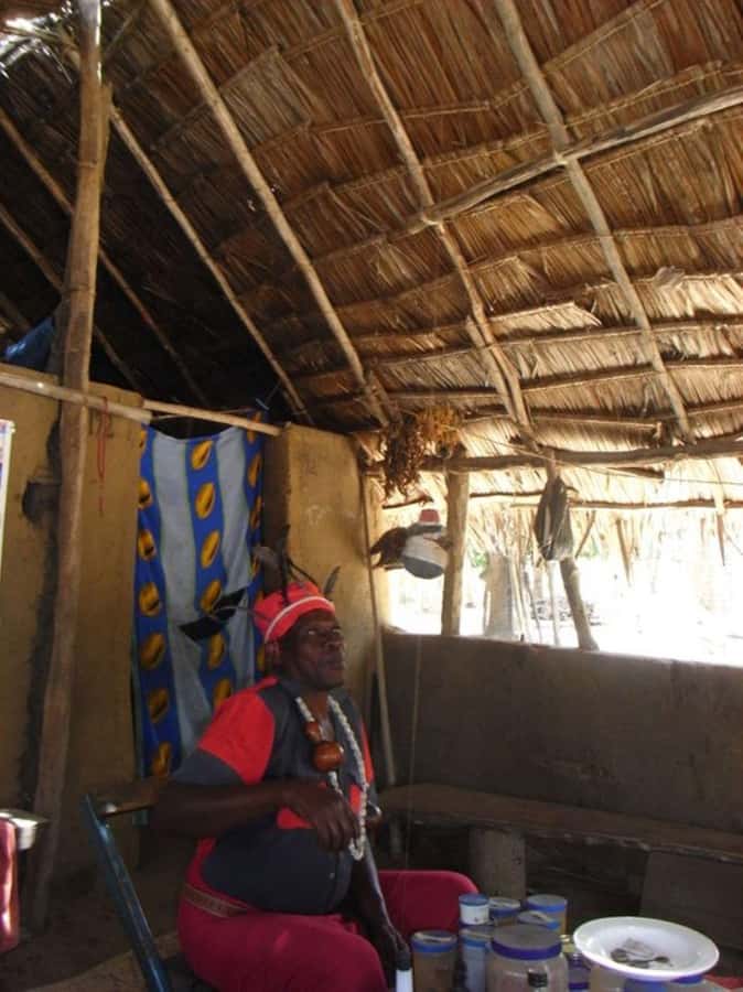 Diani bush tour - The bush doctor: traditional herbs and roots