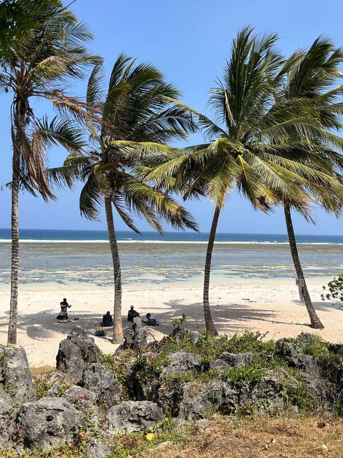 Diani: Full day Guided tour in Tiwi beach & Diani - Key points at a glance