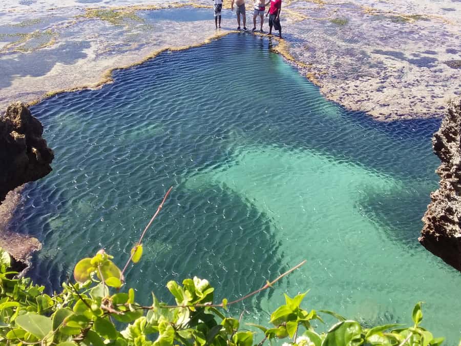 Diani: Snorkeling and Swimming at African Pool in Tiwi Beach - What $35 includes, and where the value lies
