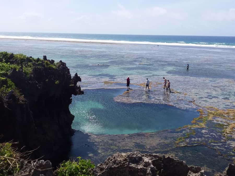 Diani: Snorkeling and Swimming at African Pool in Tiwi Beach - Who should book the African Pool experience