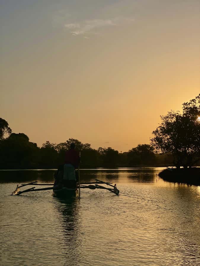 Diani: Sunset Canoe Tour along the River with Mangroves - What makes this Diani canoe trip worth your time