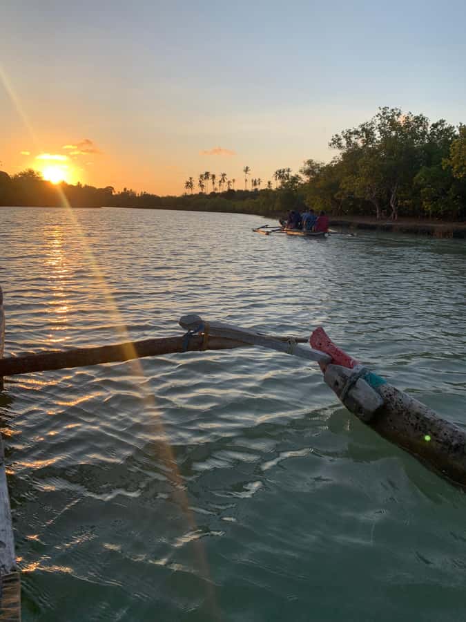 Diani: Sunset Canoe Tour along the River with Mangroves - Kongo Mosque is the starting point