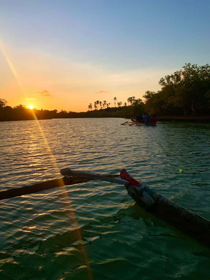 Diani: Sunset Canoe Tour along the River with Mangroves - Is $28 a fair price?