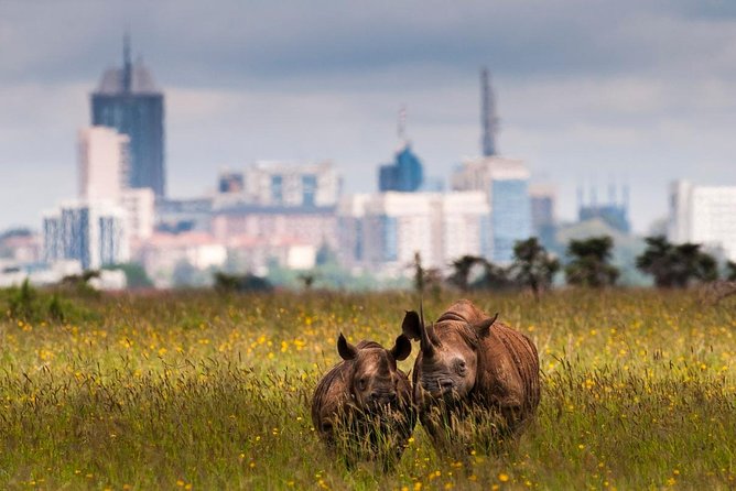 Early Morning Half Day Mini Safari To Nairobi National Park - Entering Nairobi National Park through the main gate