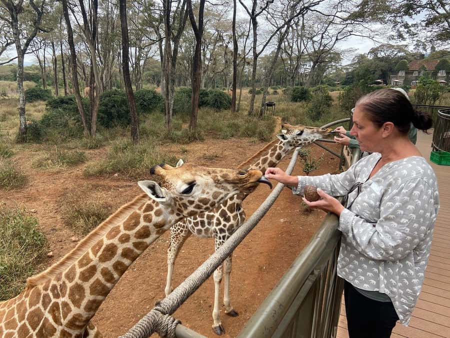 Elephant Orphanage and Giraffe Center Tour with Options - Who should book this Nairobi day trip?
