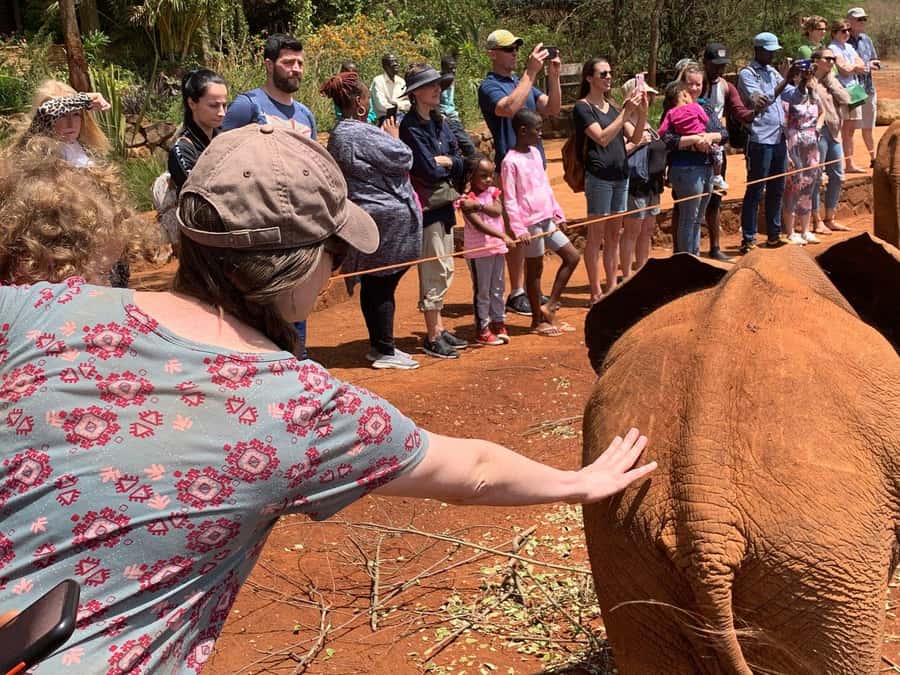 Elephant Orphanage and Giraffe Center Tour with Options - Should you book it?
