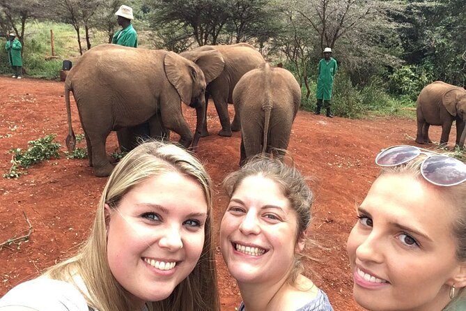 Elephant Orphanage, Giraffe Centre& optional Nairobi NationalPark - Should you book it?