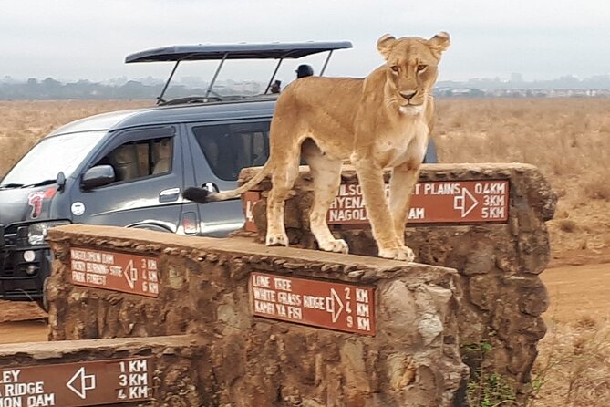 Elephant Orphanage & Giraffe Centre Tour - Private transport matters in Nairobi