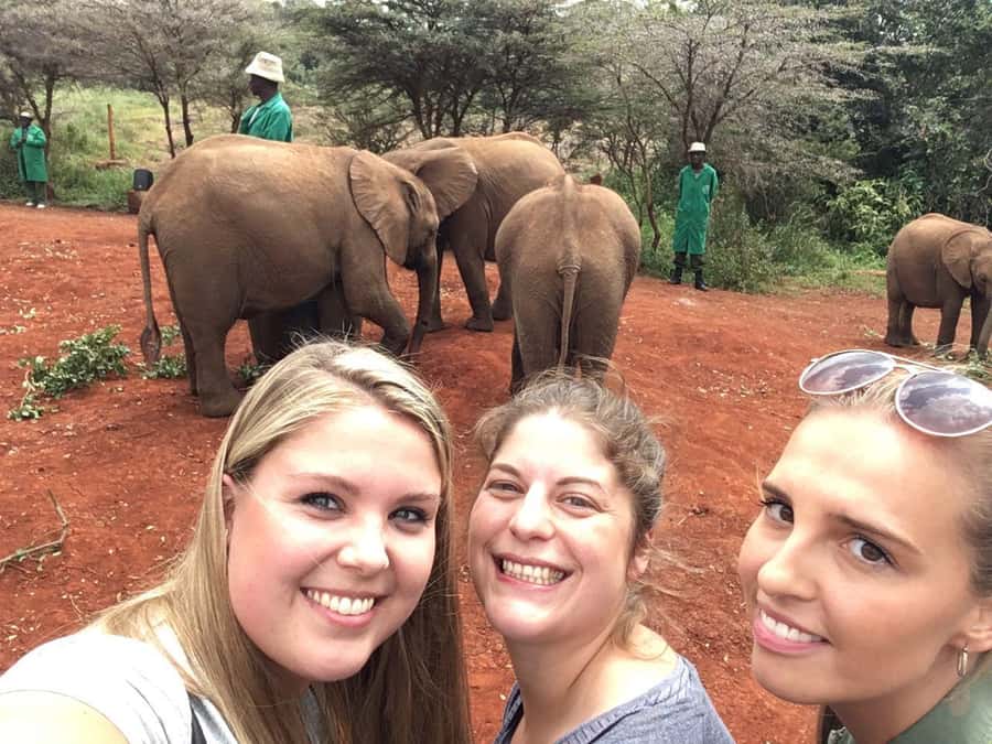 Elephant Orphanage Trust, Giraffes & Bomas of Kenya Day Tour - Lunch is flexible, not included