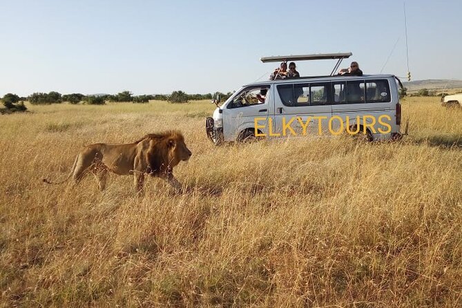 Elkydianibeachtaxis - A practical way to cross the Diani and Mombasa gap