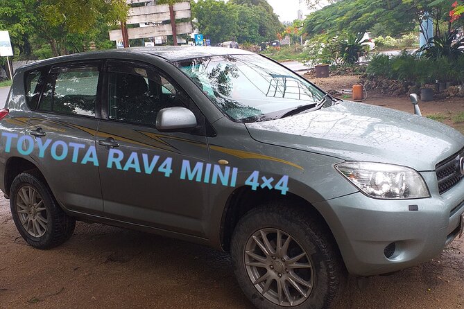 Elkydianibeachtaxis - Communication and the small details that matter