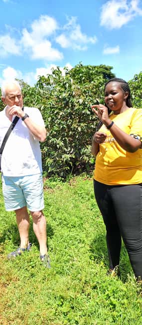 FAIRVIEW COFFEE FARM DAY TOUR - Coffee, Cookies, and a Breezy Finish