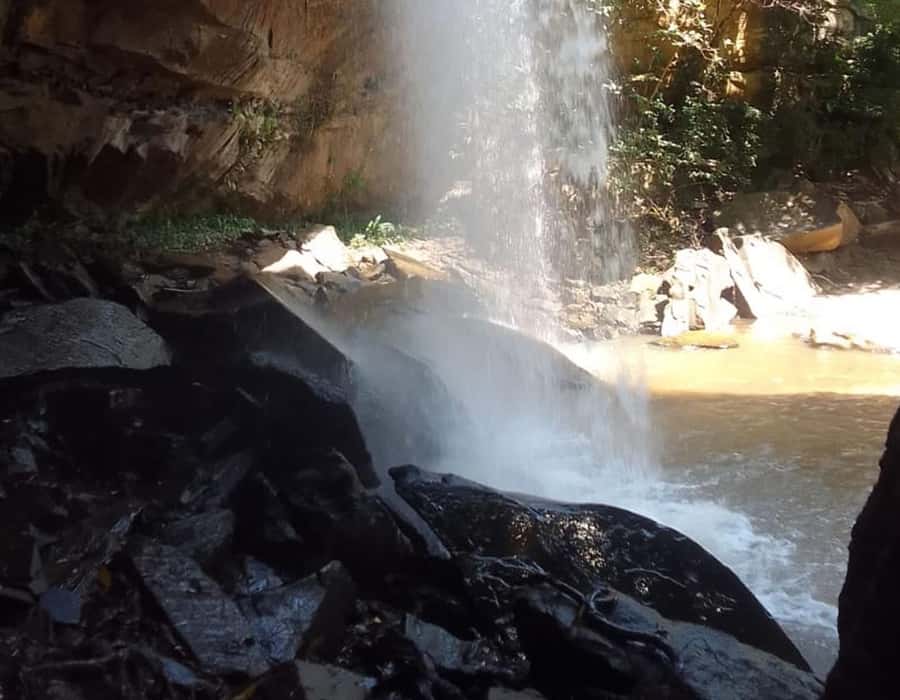 From Diani: Full Day Shimba hills tour with Sheldrick Falls - The 10:00 AM walk to Sheldrick Falls