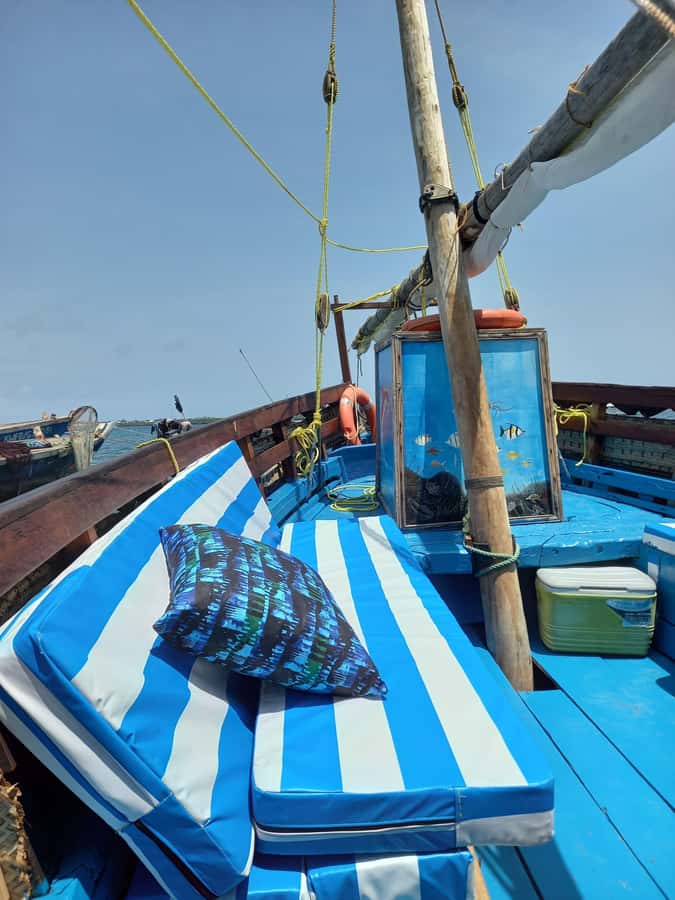 From Mombasa: Kisite Mpunguti Marine Park and Wasini Island - Wasini Island lunch and a slower hour