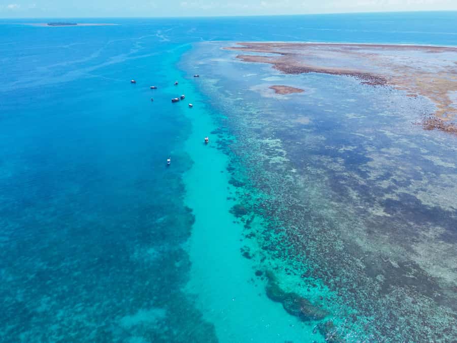 From Mombasa: Kisite Mpunguti Marine Park and Wasini Island - Guides, languages, and the human side of the trip