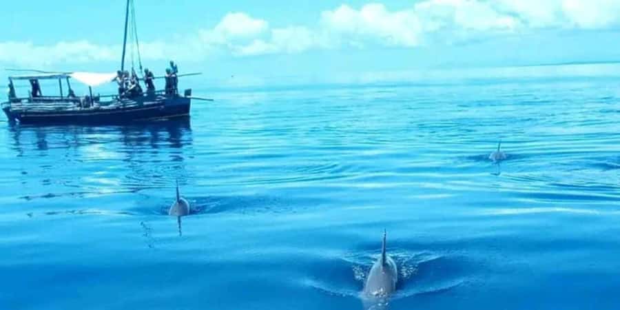 From Mombasa: Kisite Mpunguti Marine Park and Wasini Island - Who should book this day?