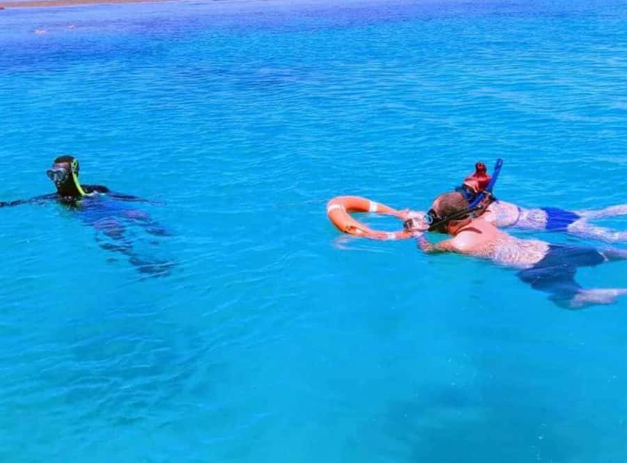 From Mombasa: Kisite Mpunguti Marine Park and Wasini Island - Should you book the Kisite and Wasini tour?