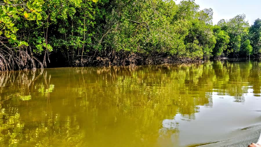 From Mombasa: Watamu Marine Park & Sudi Island Excursion - Key points to know before booking