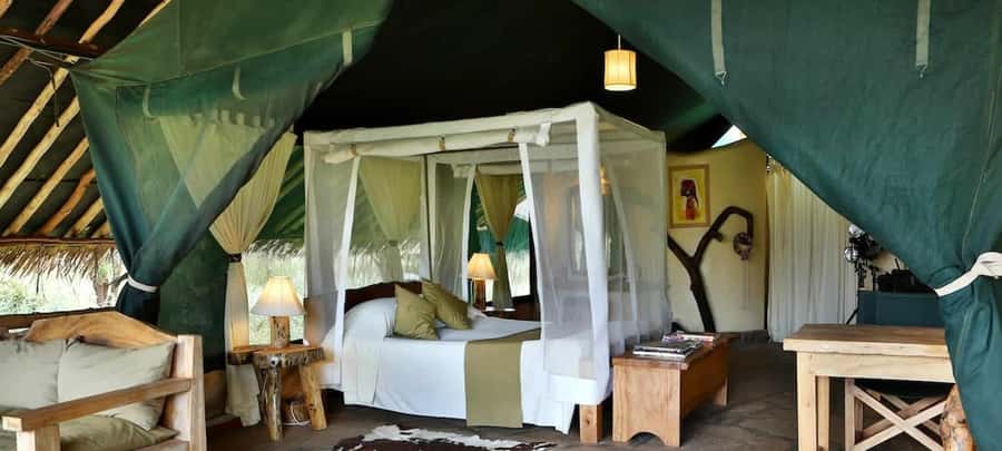 From Nairobi: 2-Day Amboseli National Park Safari - Who should choose this two-day safari