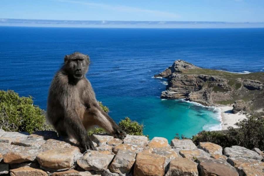 From Nairobi: 2-Day Naivasha Safari with Accommodation - Walking on Crescent Island
