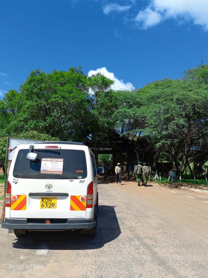 From Nairobi : 2-Days 1-Night Masai Mara Private 4WD Safari - Key points to know before you go