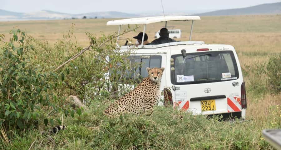 From Nairobi : 2-Days 1-Night Masai Mara Private 4WD Safari - Two ways to spend your first afternoon